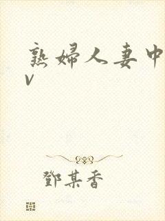 熟妇人妻中文av