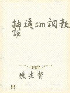 抽逼sm调教小说