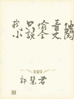 我只偷看他一眼小说全文阅读免费