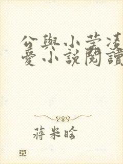 公与小莹凌晨欢爱小说阅读最新章节