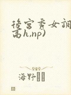 后宫秀女调教(高h,np)封面