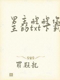 男主醒醒你是女主的txt下载