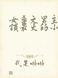 女尊文男主戴贞锁最火的小说封面