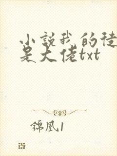 小说我的徒弟都是大佬txt