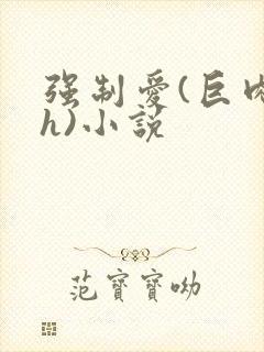 强制爱(巨肉高h)小说