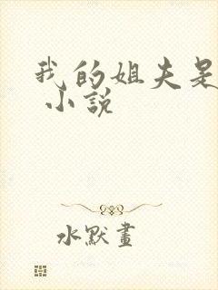 我的姐夫是太子 小说