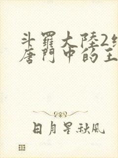 斗罗大陆2绝世唐门中的王冬