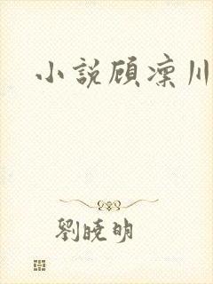 小说顾凛川陈沁