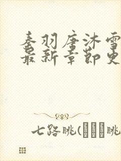 秦羽唐沐雪小说最新章节更新