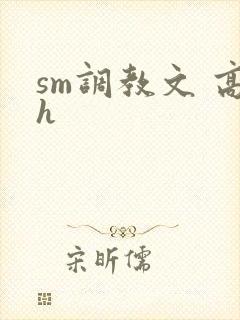 sm调教文 高h