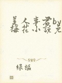 美人事君by小梅花小说免费阅读