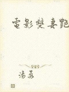 电影双妻艳史
