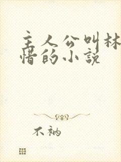 主人公叫林凡叶惜的小说封面