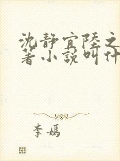 沈静宜陆之远原著小说叫什么