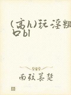 (高h)玩淫粗口bl