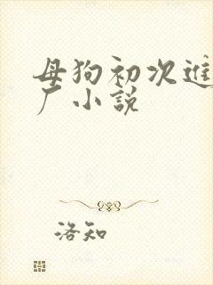 母狗初次进调教厂小说
