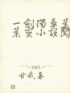 一剑独尊叶玄,叶灵小说阅读