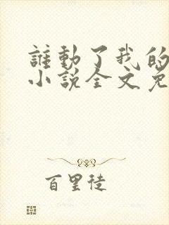 谁动了我的老婆小说全文免费阅读