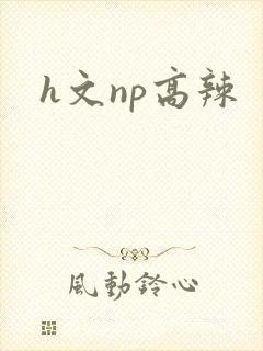 h文np高辣