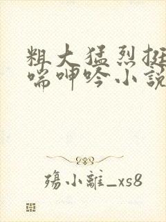 粗大猛烈挺进娇喘呻吟小说