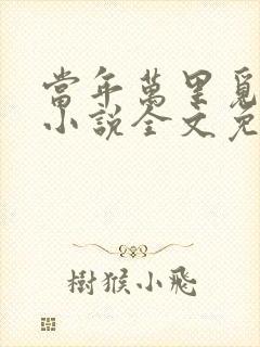 当年万里觅封侯小说全文免费阅读全文封面