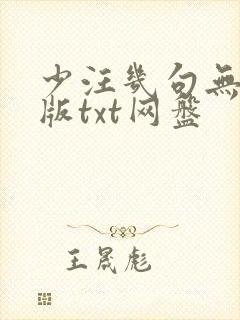 少汪几句无删减版txt网盘