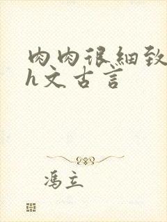 肉肉很细致的高h文古言