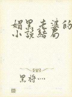 媚黑老婆的下贱小说结局