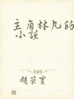 主角林凡的小说 小说