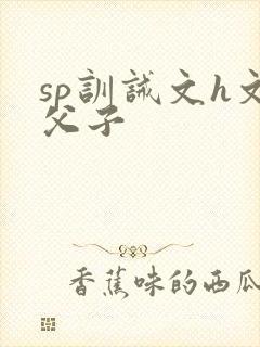 sp训诫文h文父子