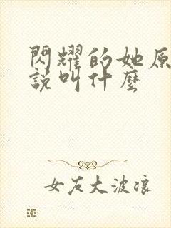 闪耀的她原著小说叫什么封面