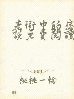 老街中的痞子小说免费阅读