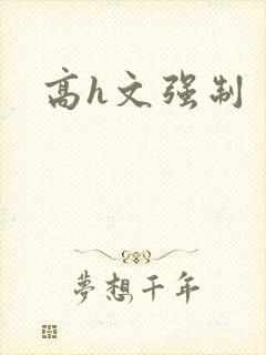 高h文强制