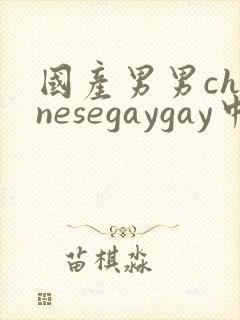 国产男男chinesegaygay中国帅哥网站