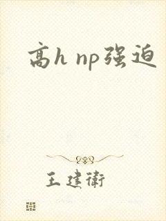 高h np强迫