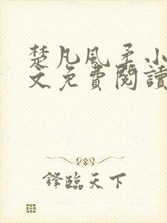 楚凡风柔小说全文免费阅读最新章节