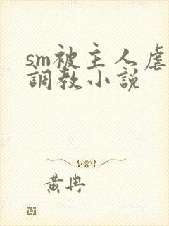 sm被主人虐玩调教小说