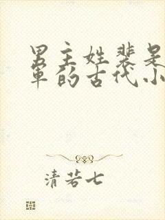 男主姓裴是个将军的古代小说