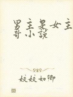 男主是女主的哥哥小说