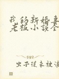 我的新婚妻子菜老板小说全文阅读