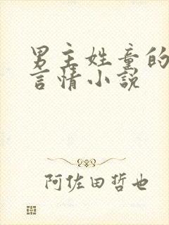 男主姓童的现代言情小说封面