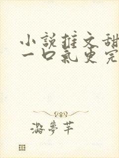 小说推文甜宠文一口气更完封面