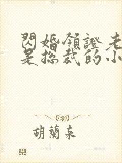 闪婚领证老公竟是总裁的小说