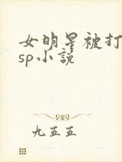 女明星被打屁股sp小说封面