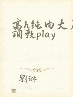 高h纯肉大尺度调教play