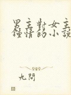 男主对女主一见钟情的小说校园文封面