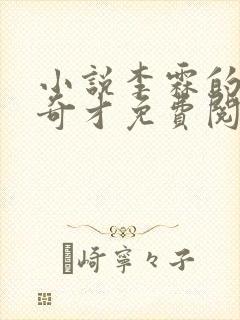 小说李霖的官场奇才免费阅读