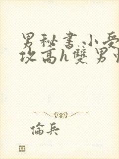 男秘书小受引诱攻高h双男快穿