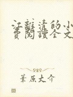 江离清的小说免费阅读全文封面