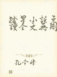 踏星小说免费阅读全文无删减